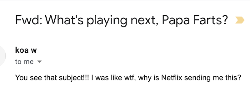 Email from Netflix
