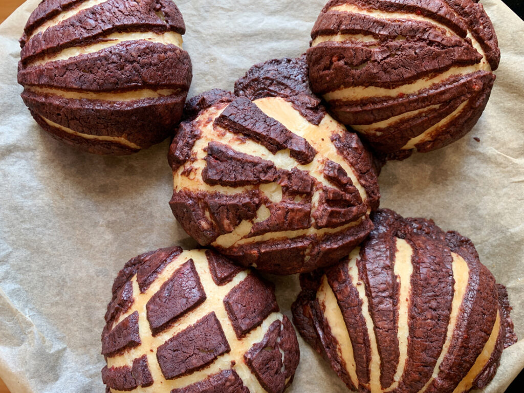 chocolate conchas