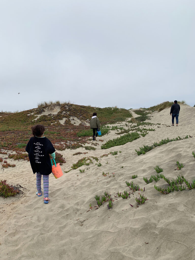 sand dunes at Ocean Beach
