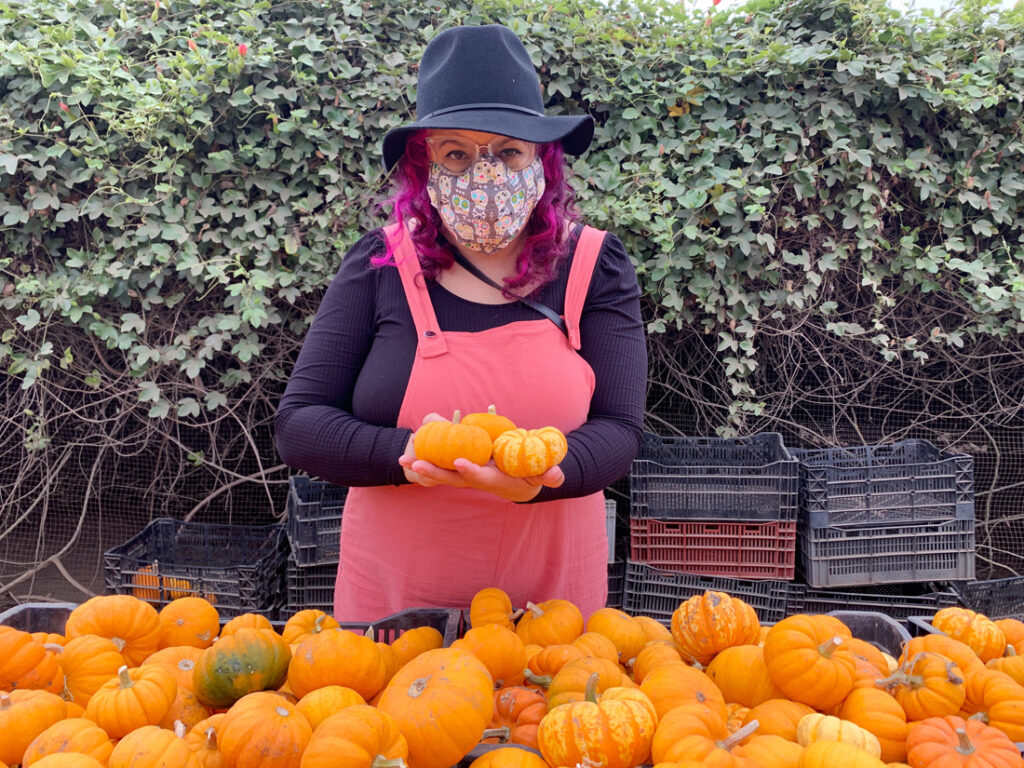 mini pumpkins