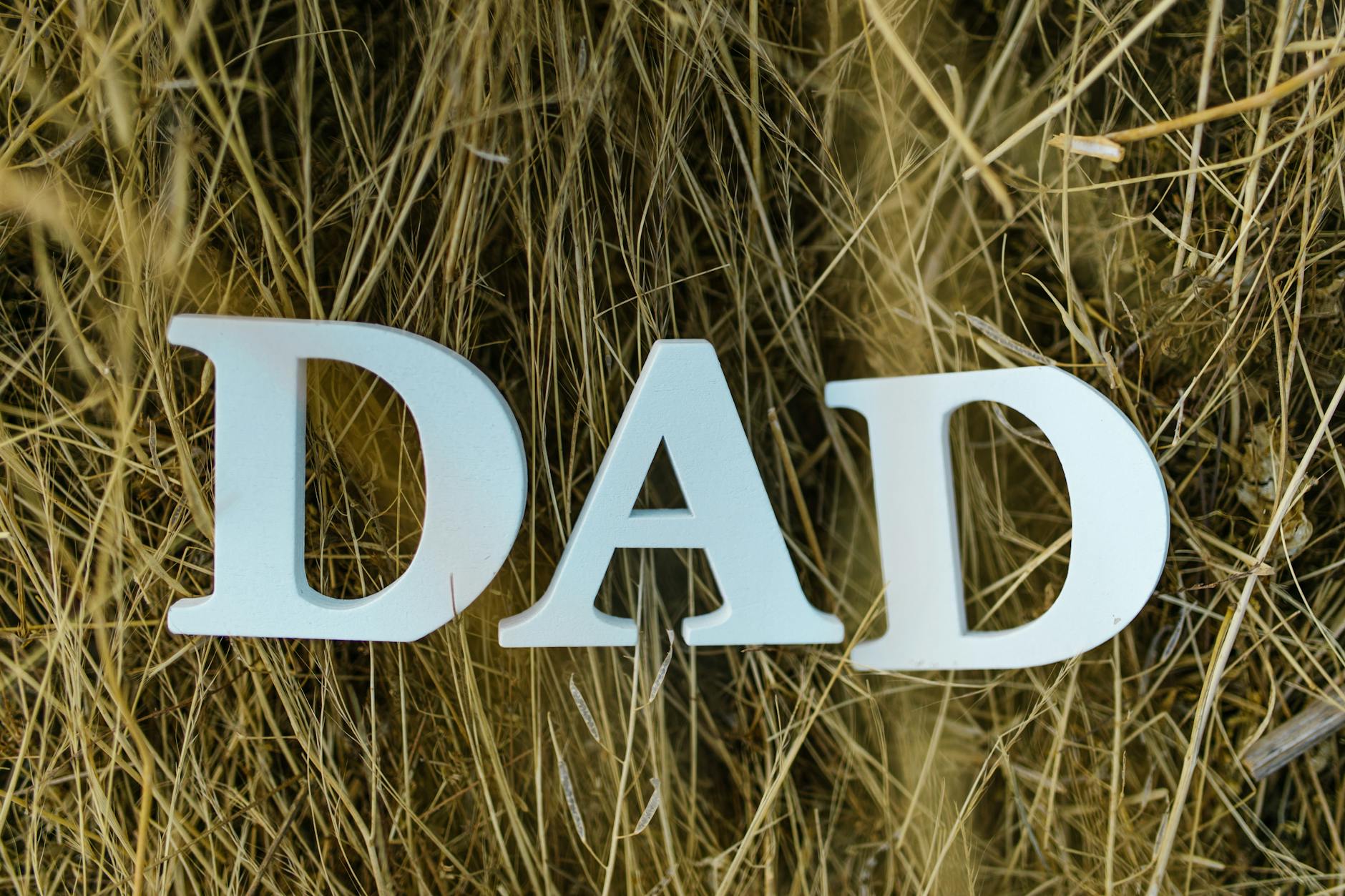 letters on a hay